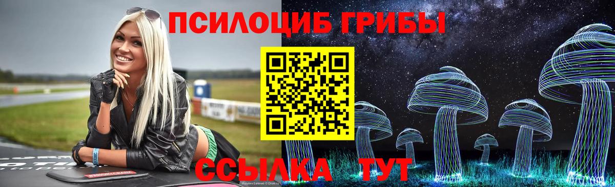 Мурино  Псилоцибиновые грибы GOLDEN TEACHER  Вход с VPN 